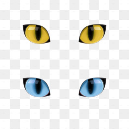 Oeil De Chat Png 54 Images De Oeil De Chat Transparentes Png Gratuit