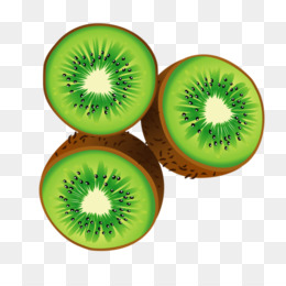 Les Kiwis Dessin Fruits Png Les Kiwis Dessin Fruits Transparentes Png Gratuit