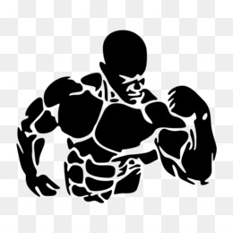 musculation png 3543 images de musculation transparentes png gratuit