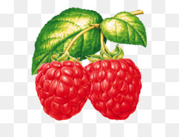 Rouge Framboise Framboise Fruits Png Rouge Framboise Framboise Fruits Transparentes Png Gratuit