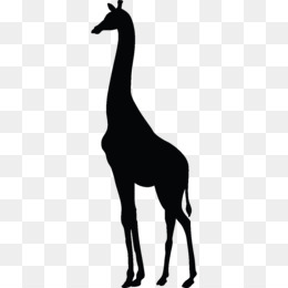 Girafe Png 4693 Images De Girafe Transparentes Png Gratuit