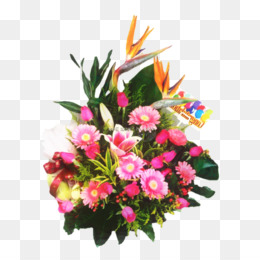 Fleur Des Champs Anniversaire Fleur Png Fleur Des Champs Anniversaire Fleur Transparentes Png Gratuit